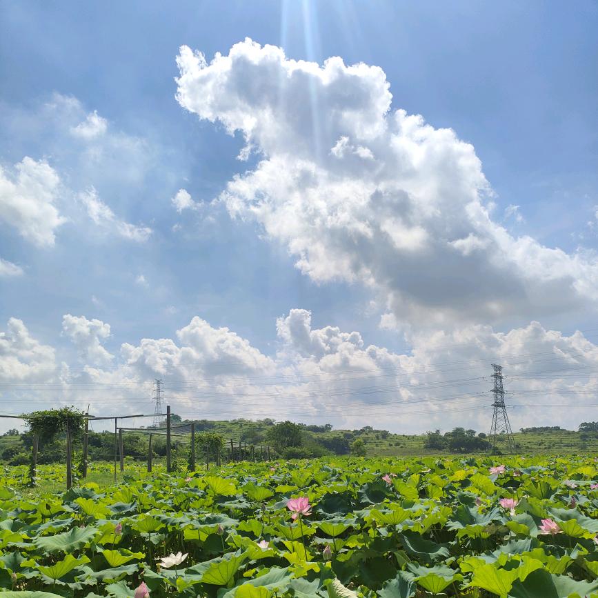 游手好闲