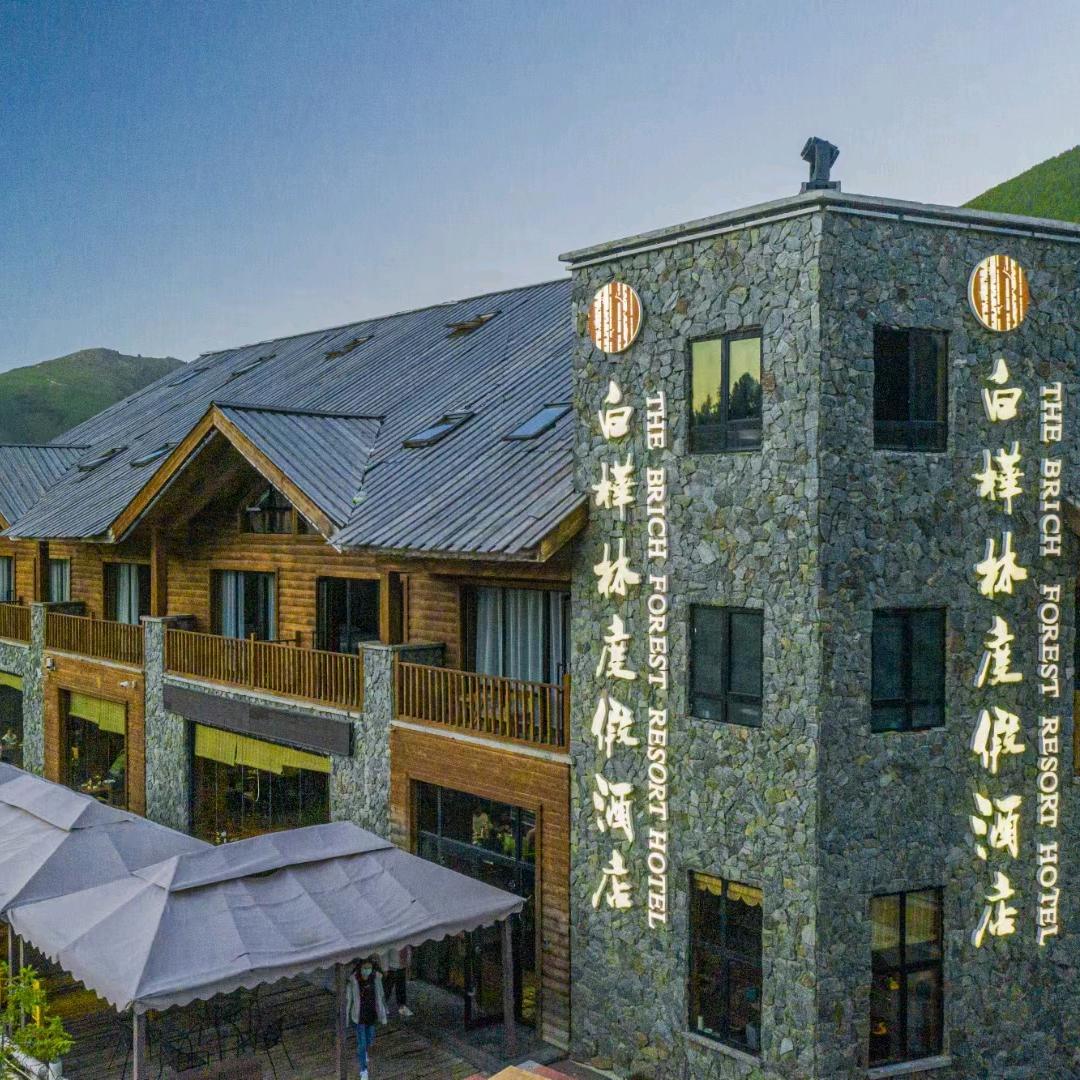 新疆喀纳斯白桦林度假酒店