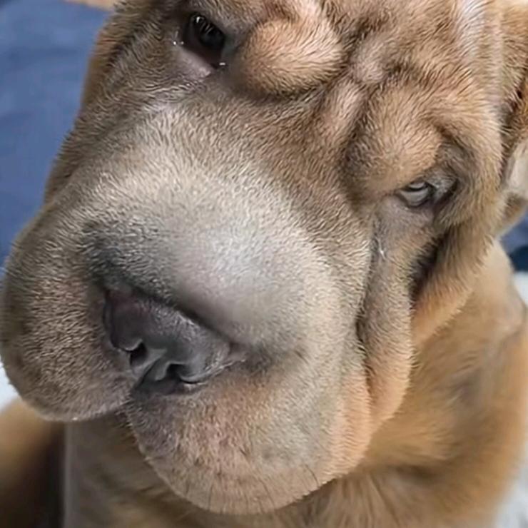💕 ?{祢親靉DAヽ静姐💯