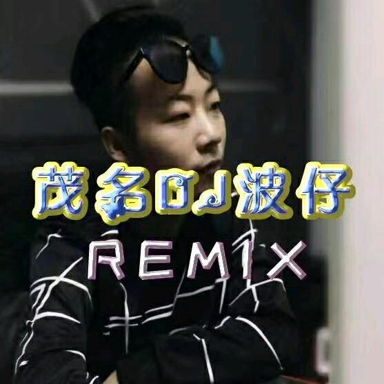 茂名 dj 波仔(收徒弟)