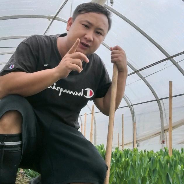 杨磊聊草花