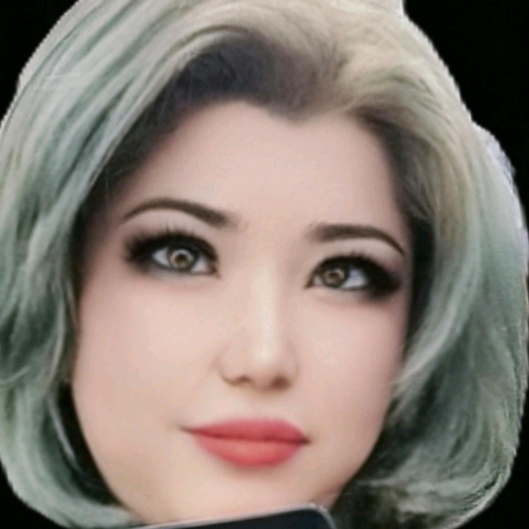 kepinak 6603