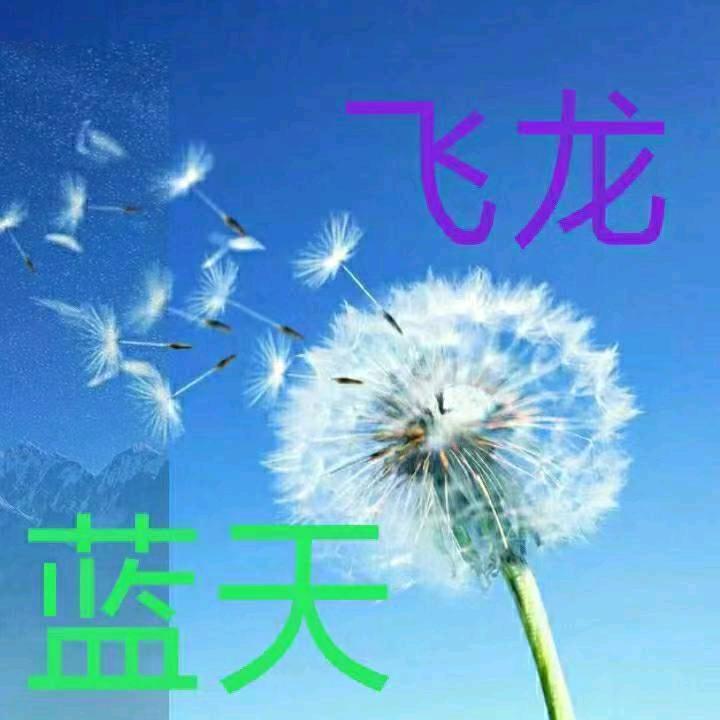 蓝天飞龙