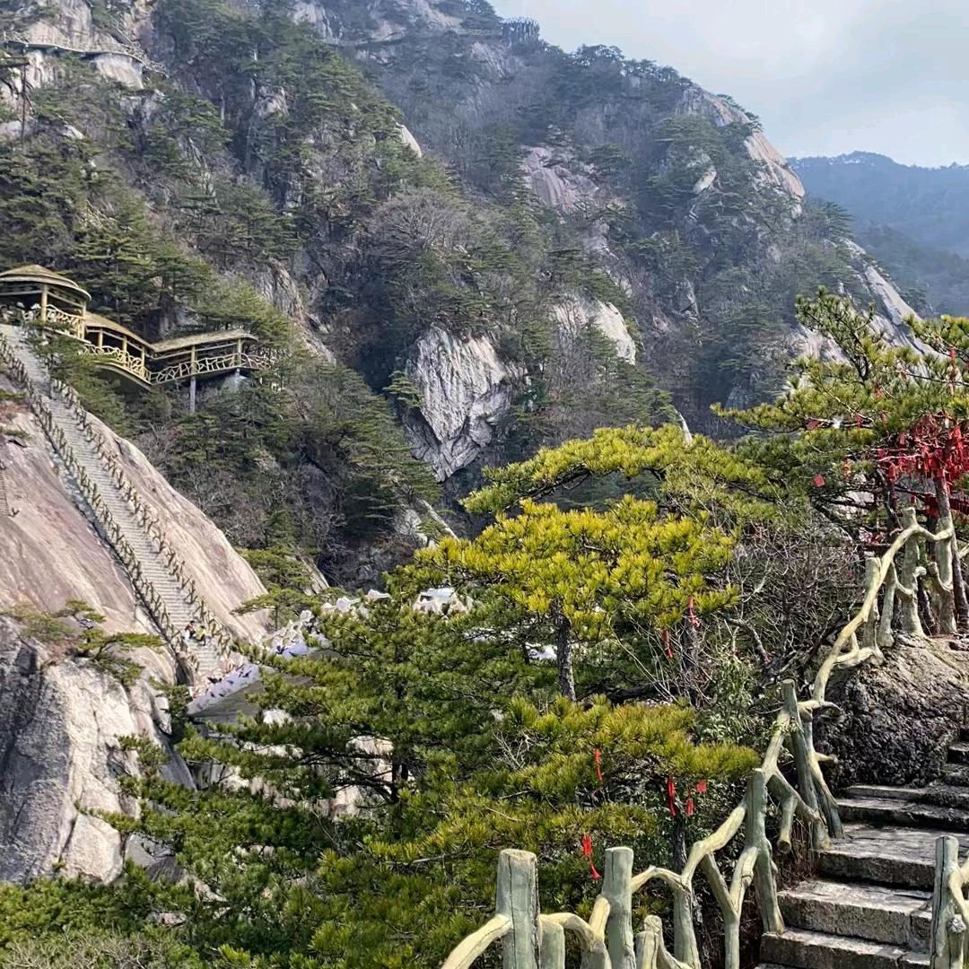 骆林