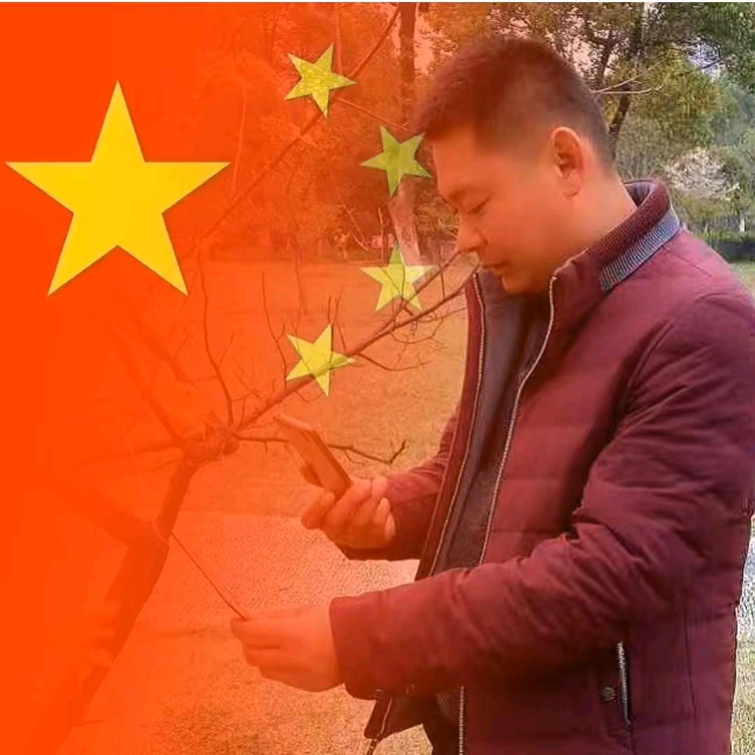 豫东大周