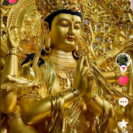 安一77年5兔子1876