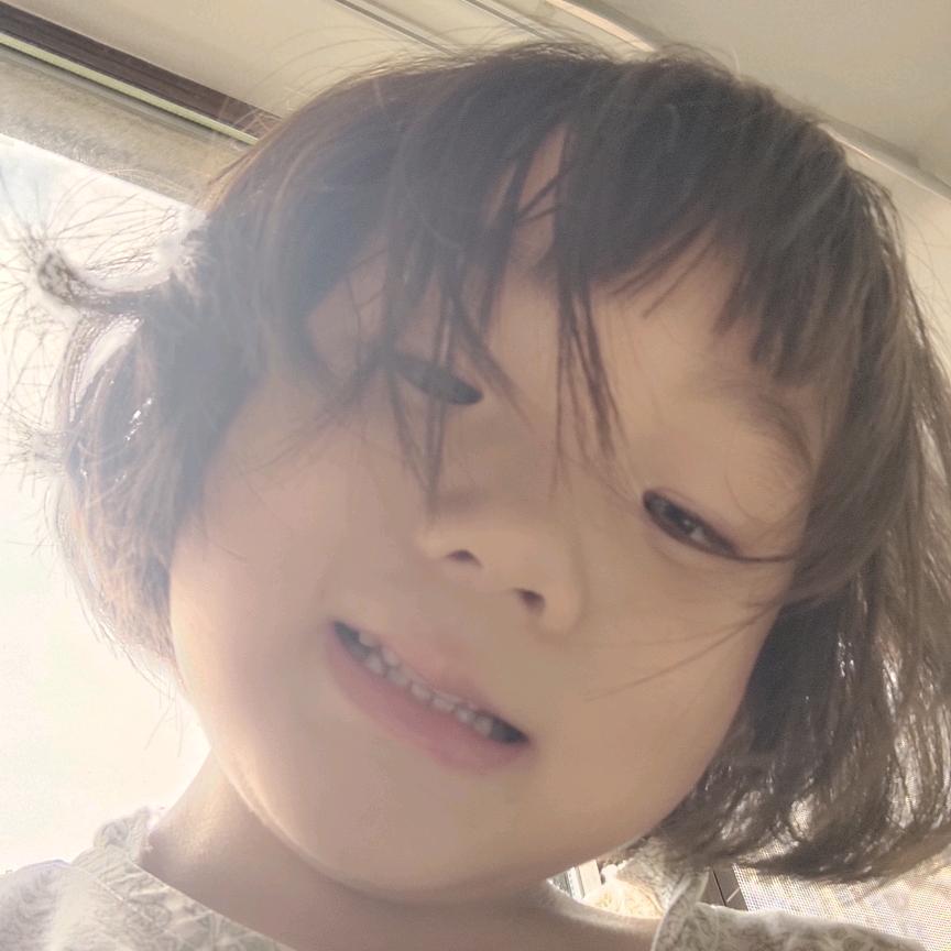 树叶遮不住岁月