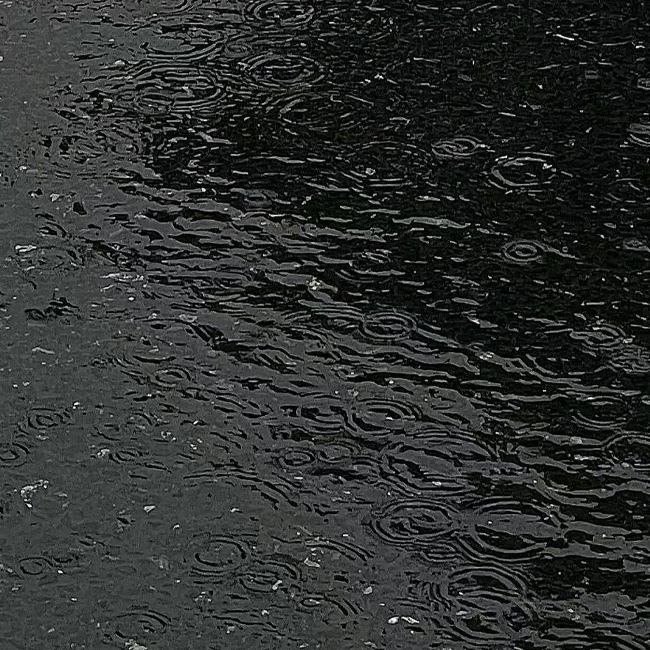 爱嘤嘤嘤的招财