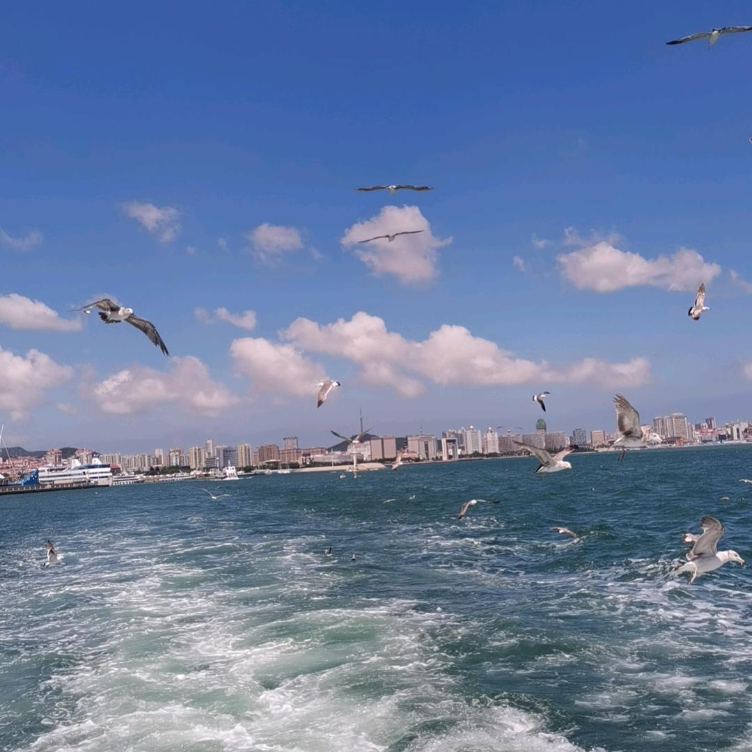 萌娃奶奶的幸福生活