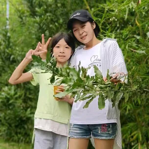 张黄马妹槐花