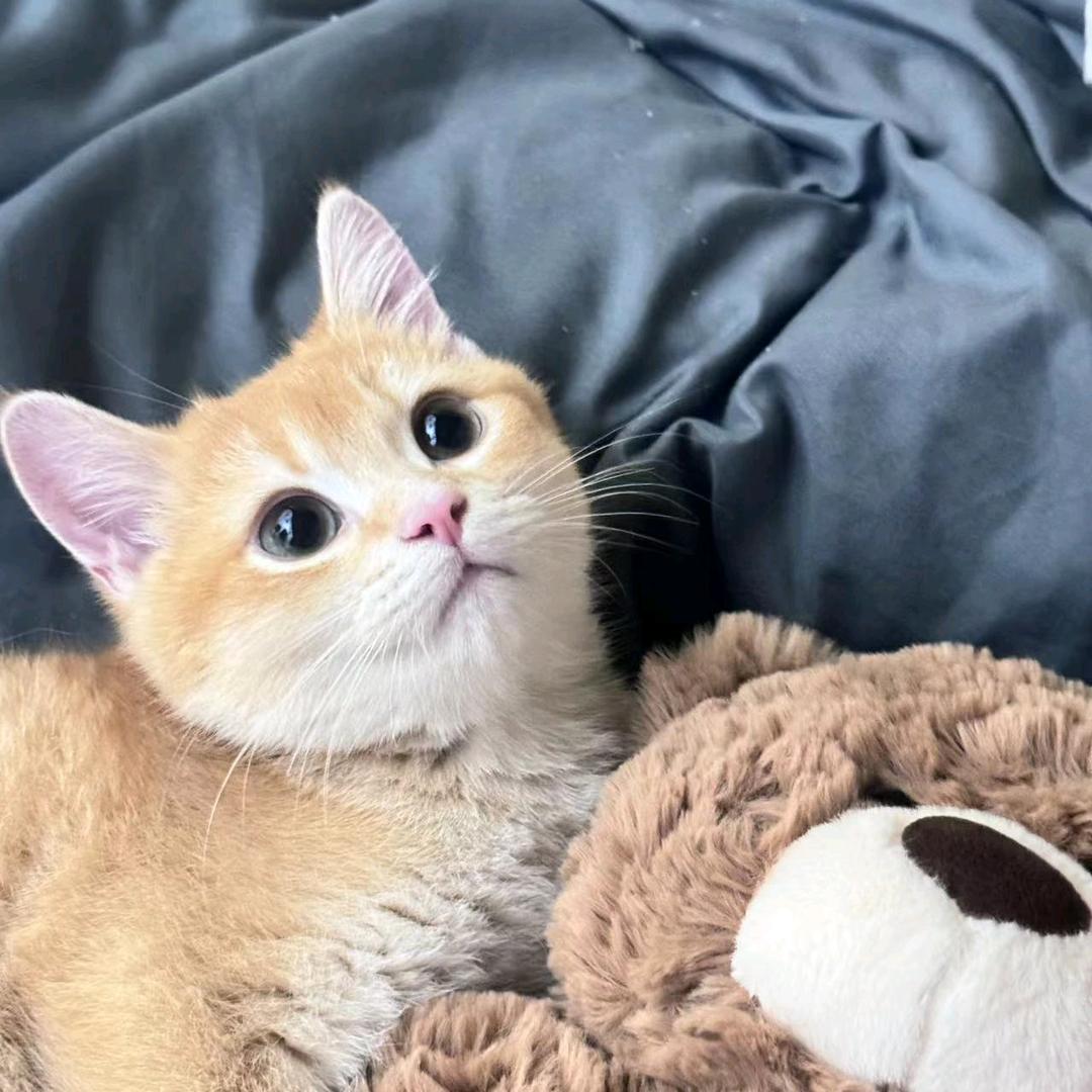 她那么温柔💞