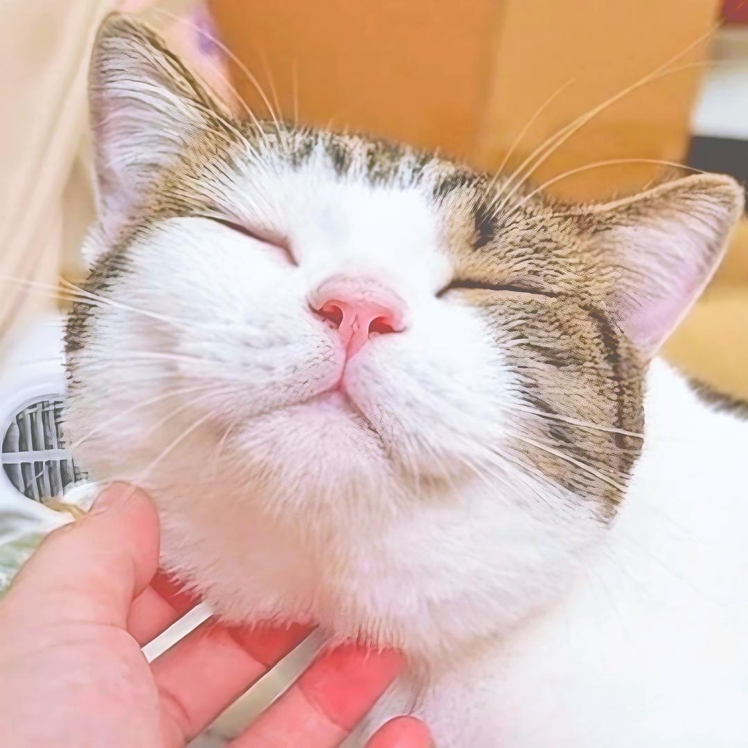 小衣的朋友圈