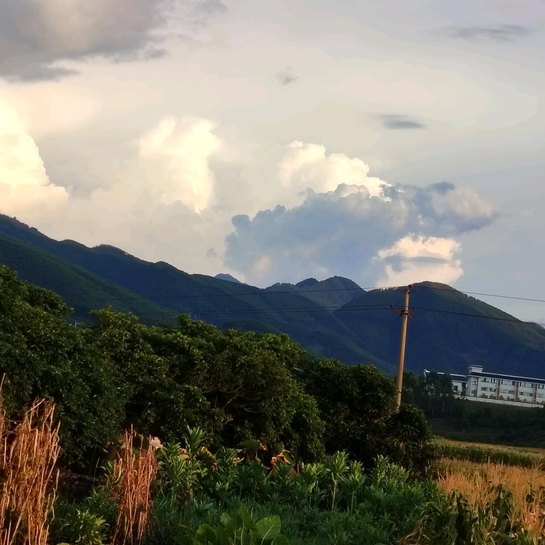 小骗子