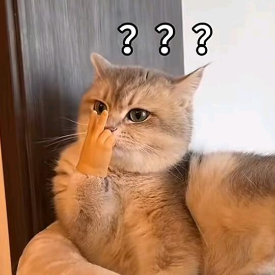 猴哥说养宠