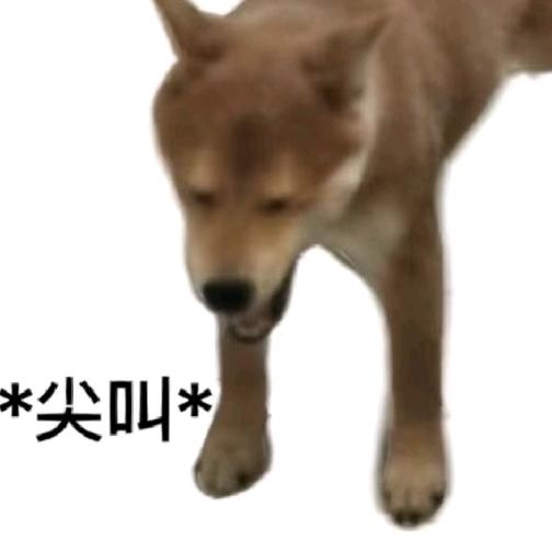 约德尔大王