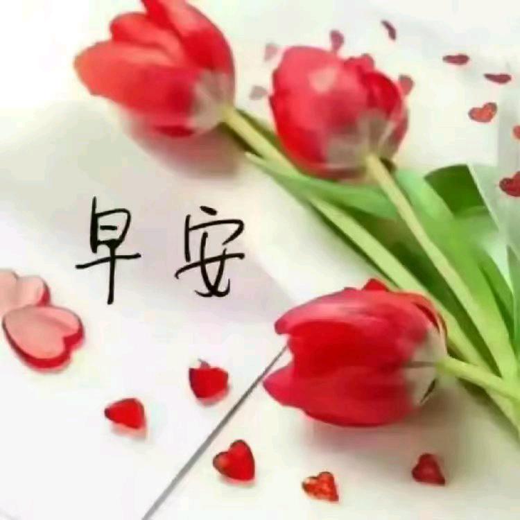 淡然