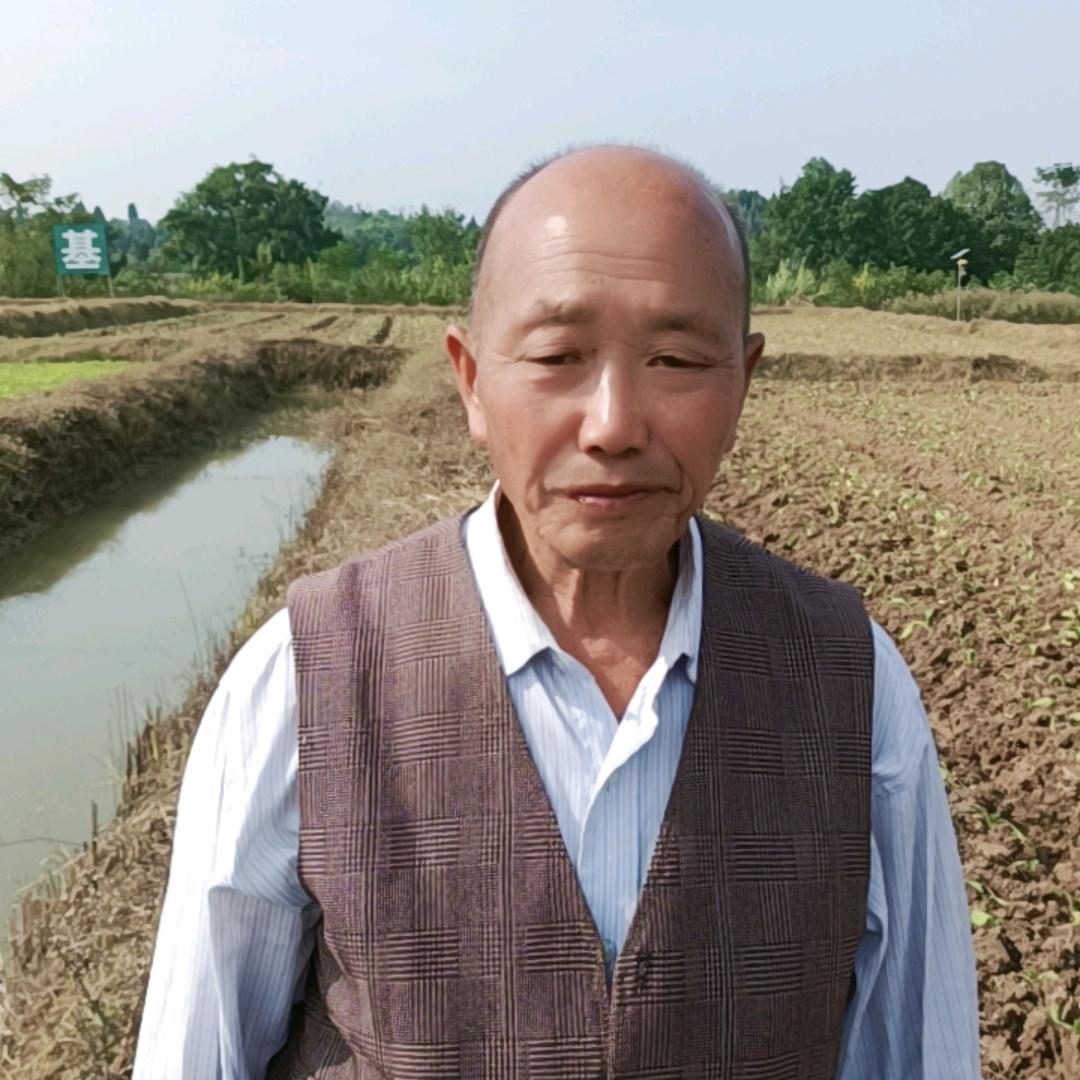 胡代文