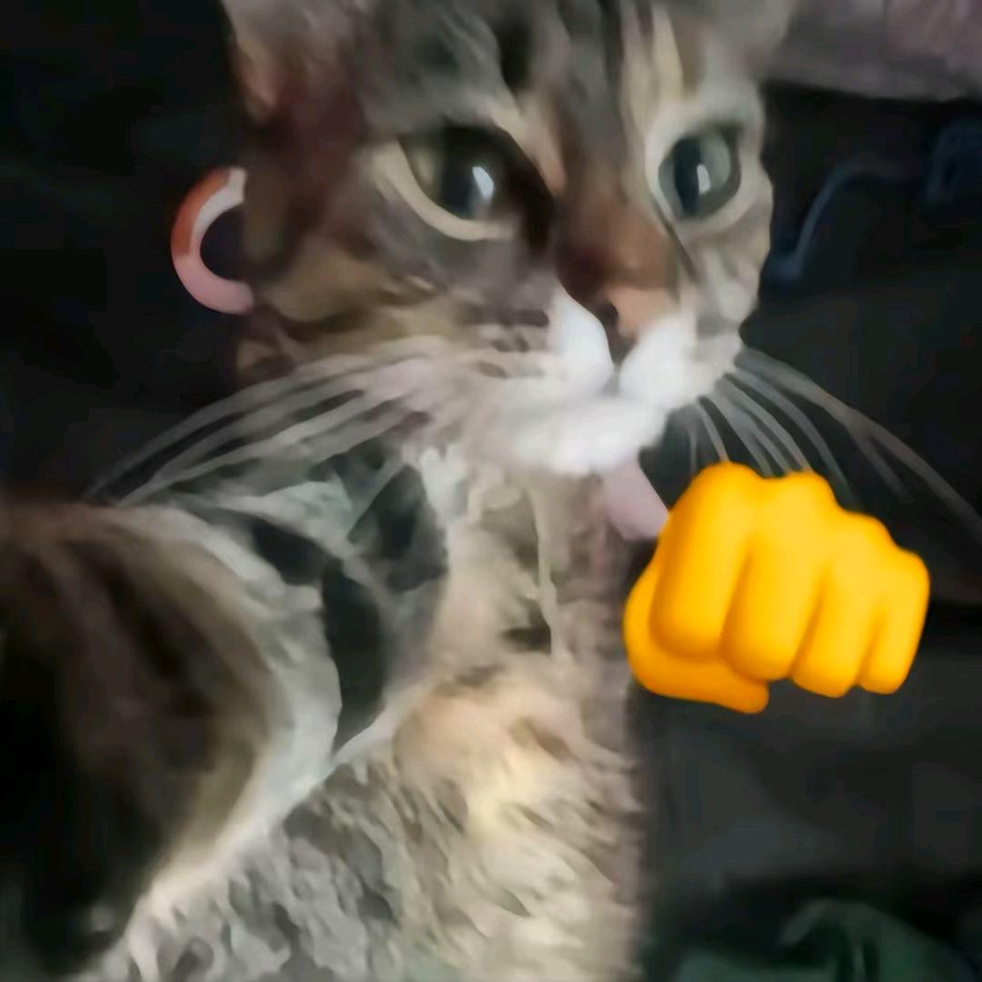 赞