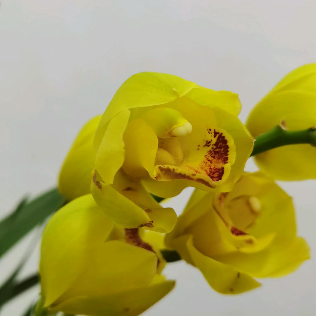 阿堂
