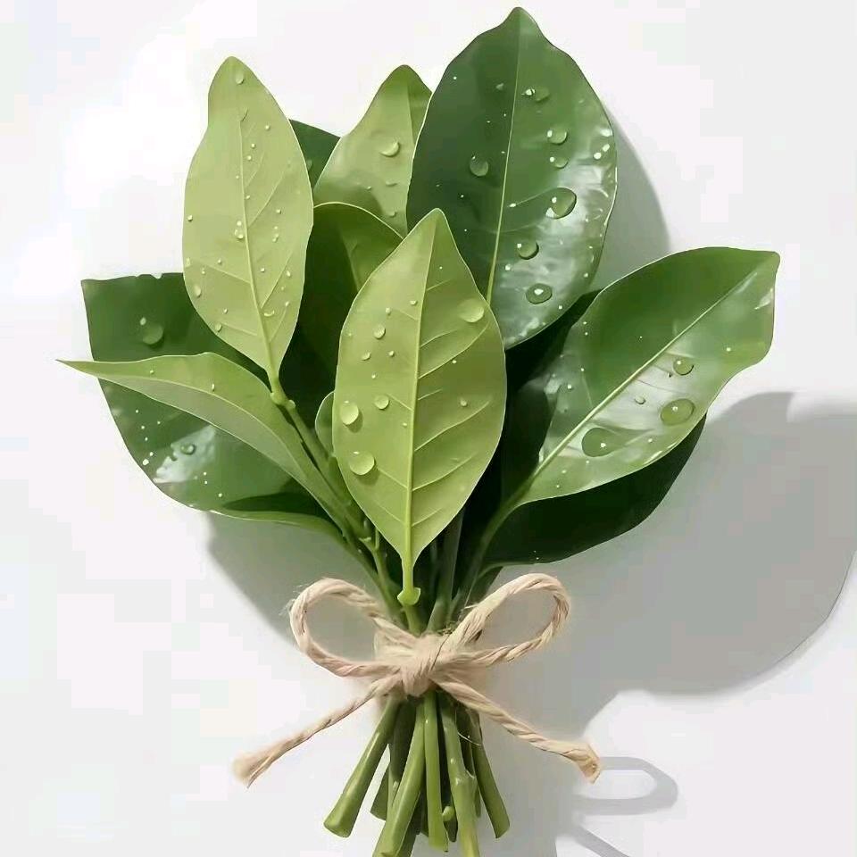 🌸桦大胆吖