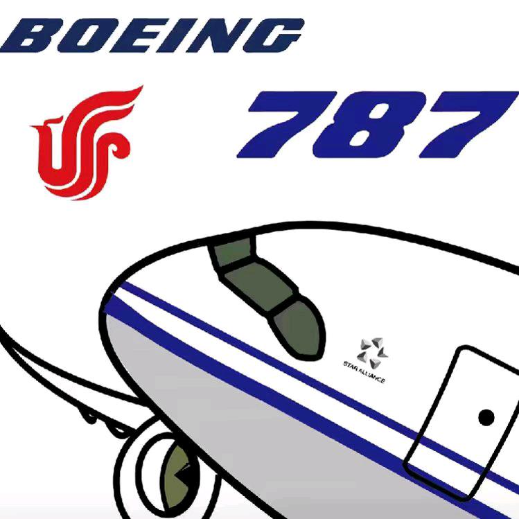 中国国际航空CA7796