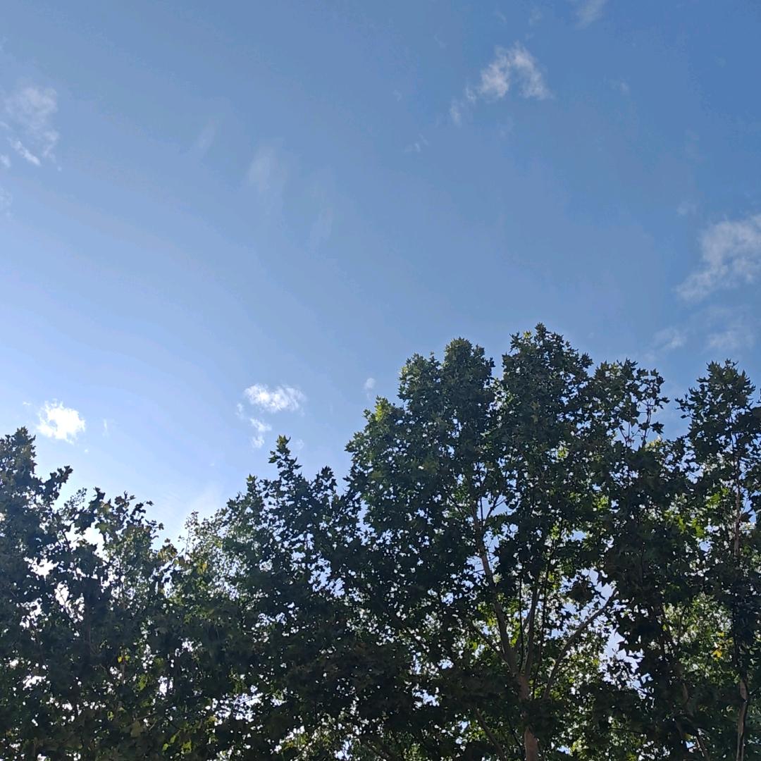 观山悦海