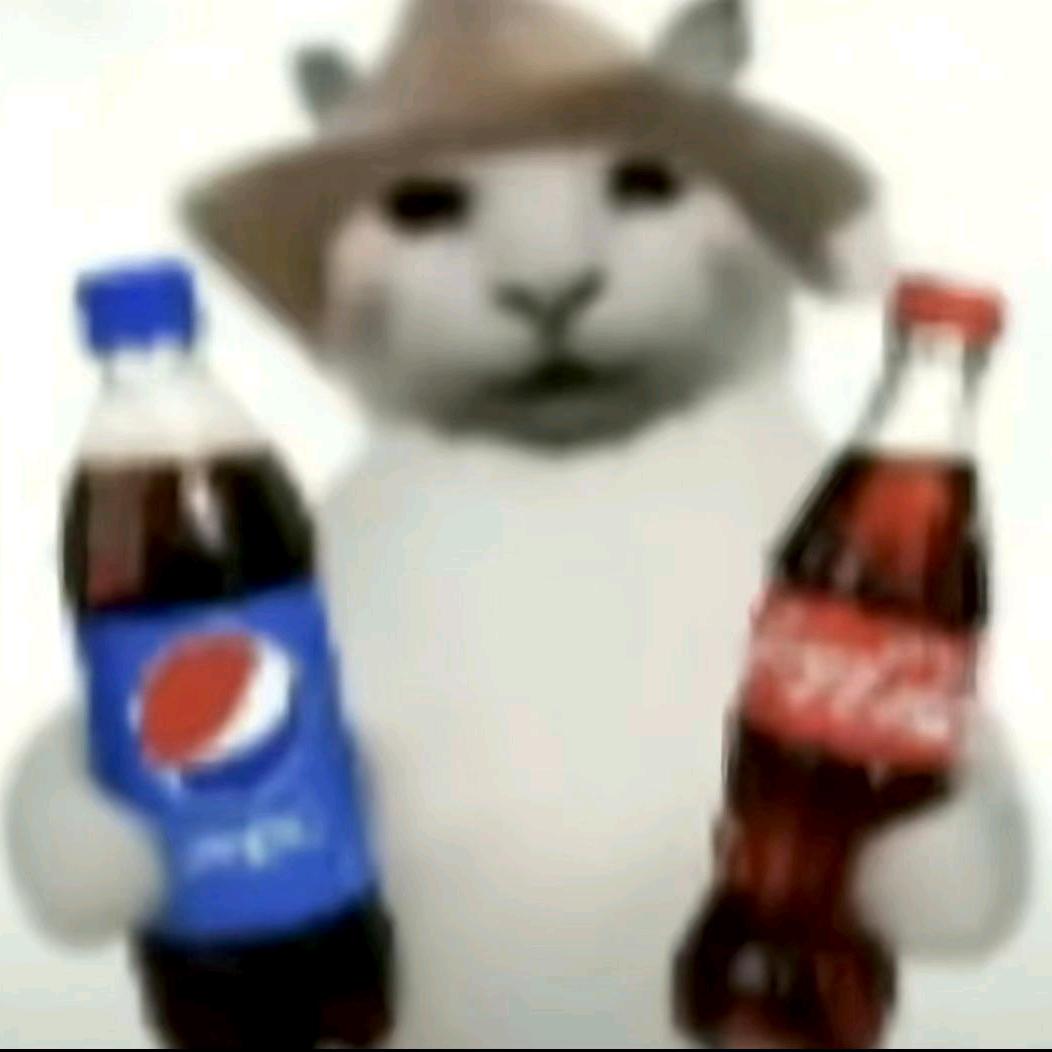 好久不见，路小雨。