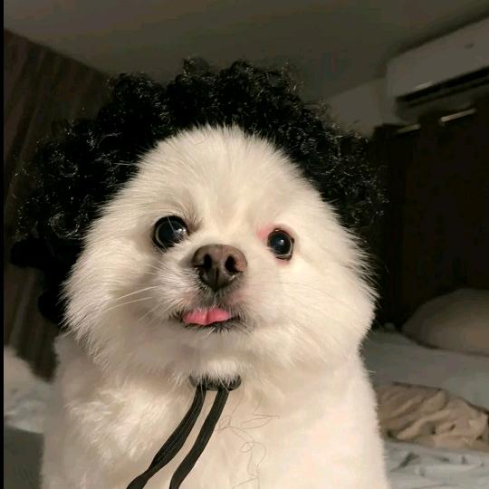 兜里全是钱
