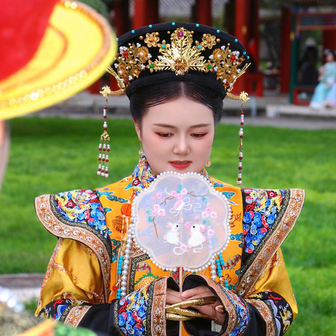 锦上添花，熠熠生辉