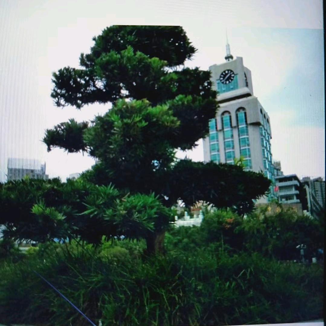 奋斗
