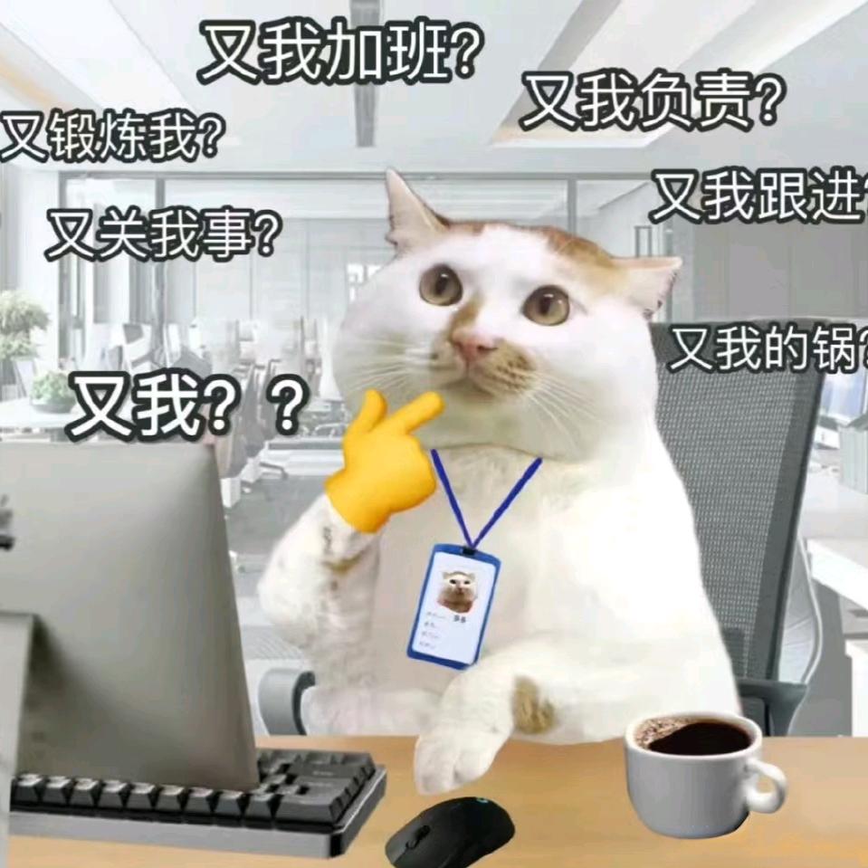 椰子里没有椰子