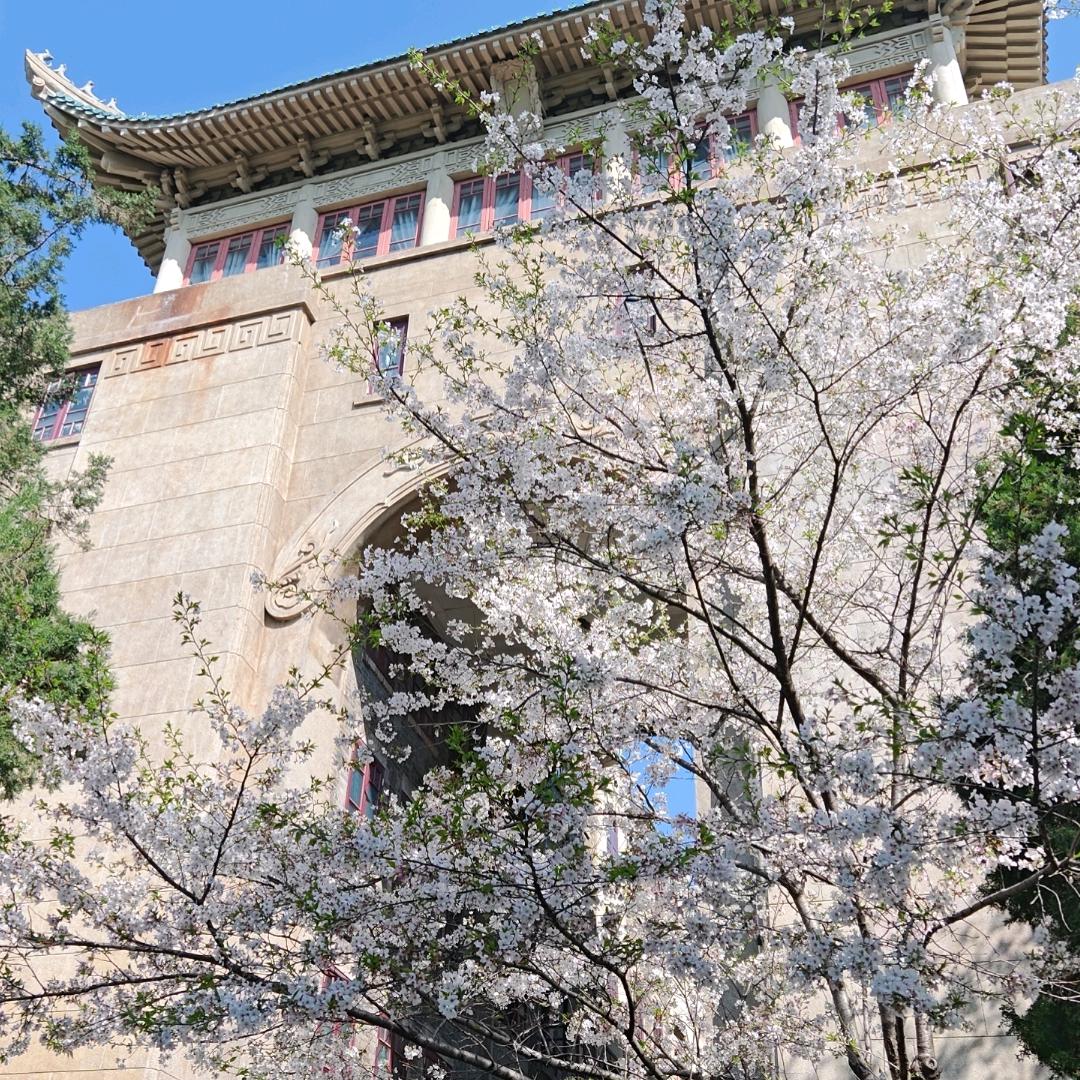 眼睛去旅行