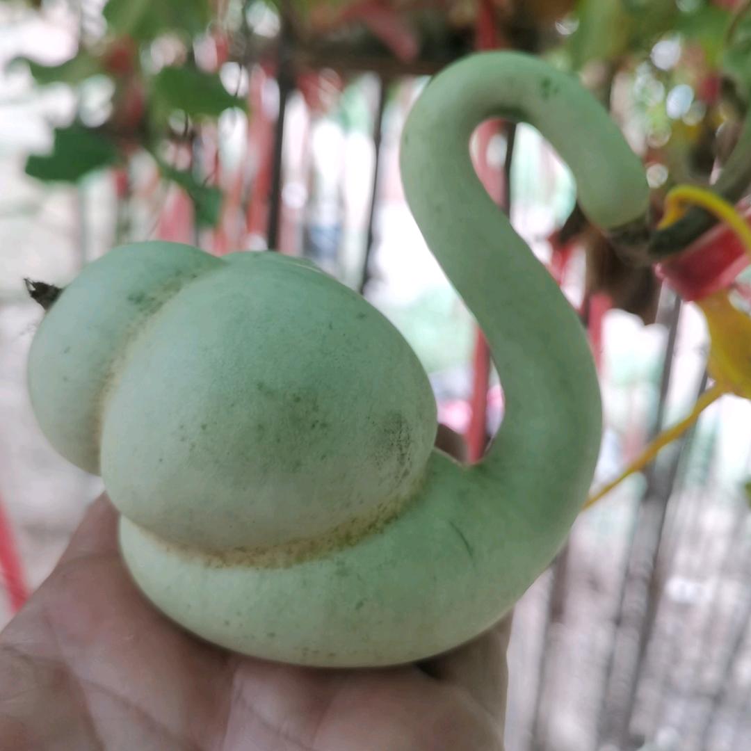 皓函福禄葫芦工艺品