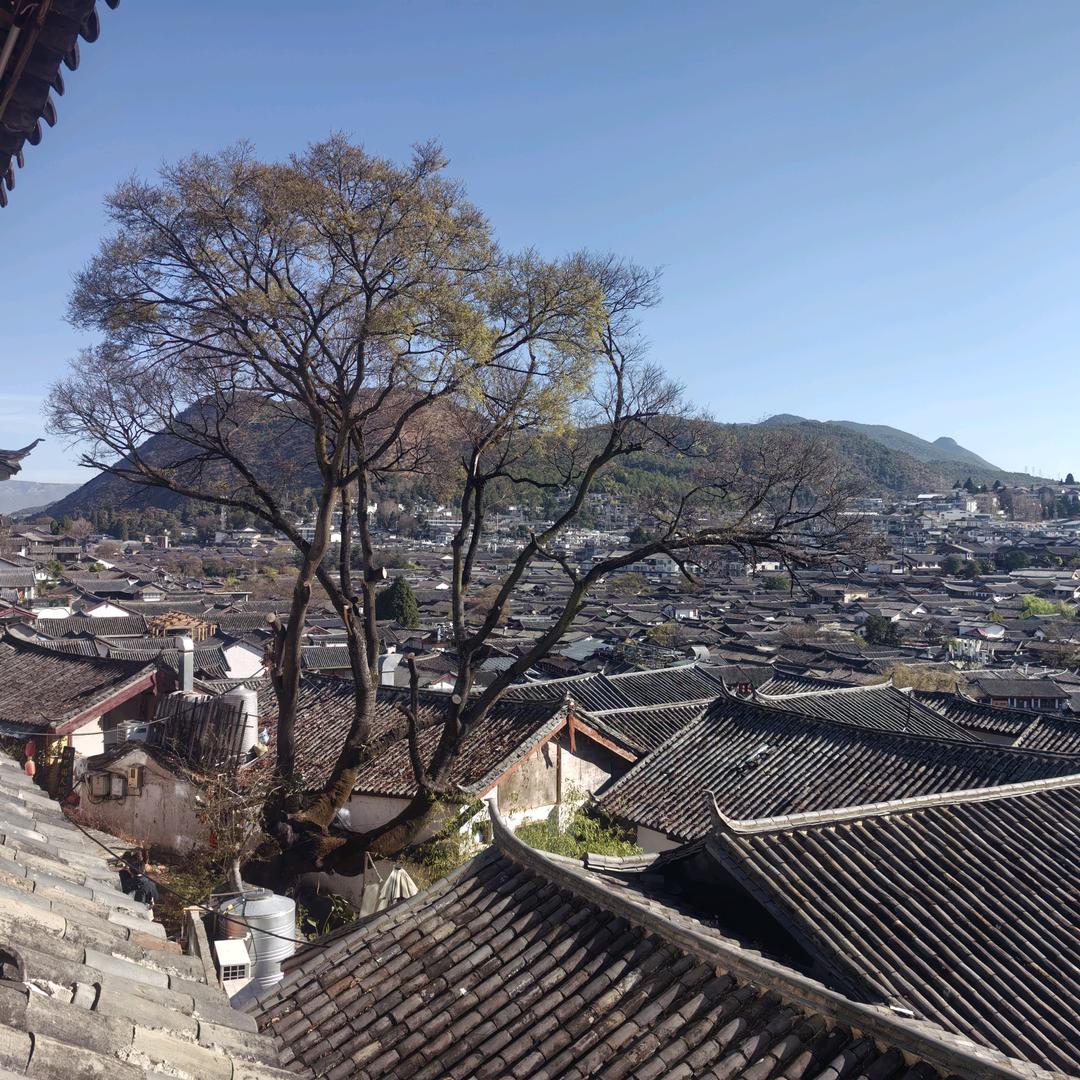 思钱想厚