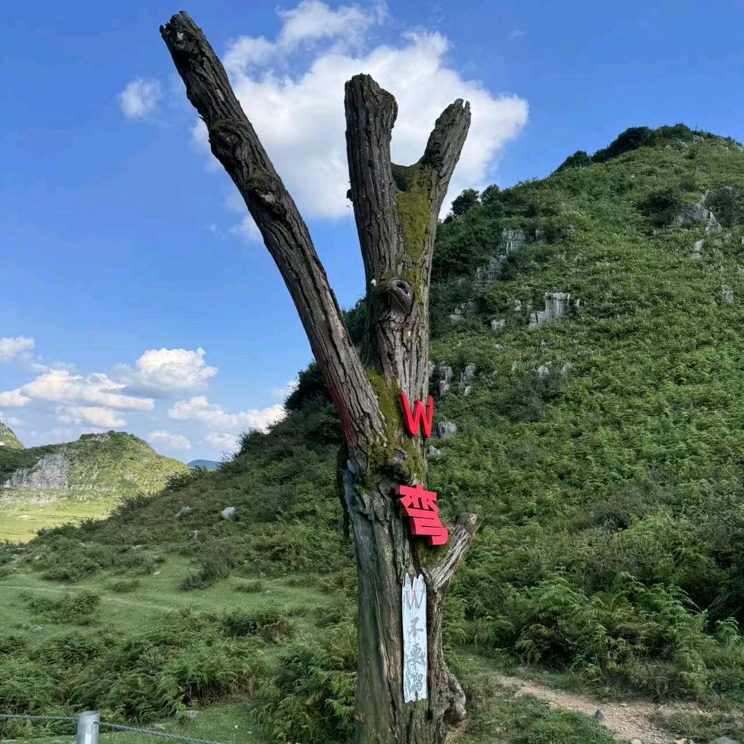 憨包