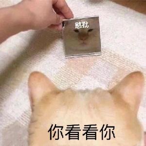 金铲铲六年