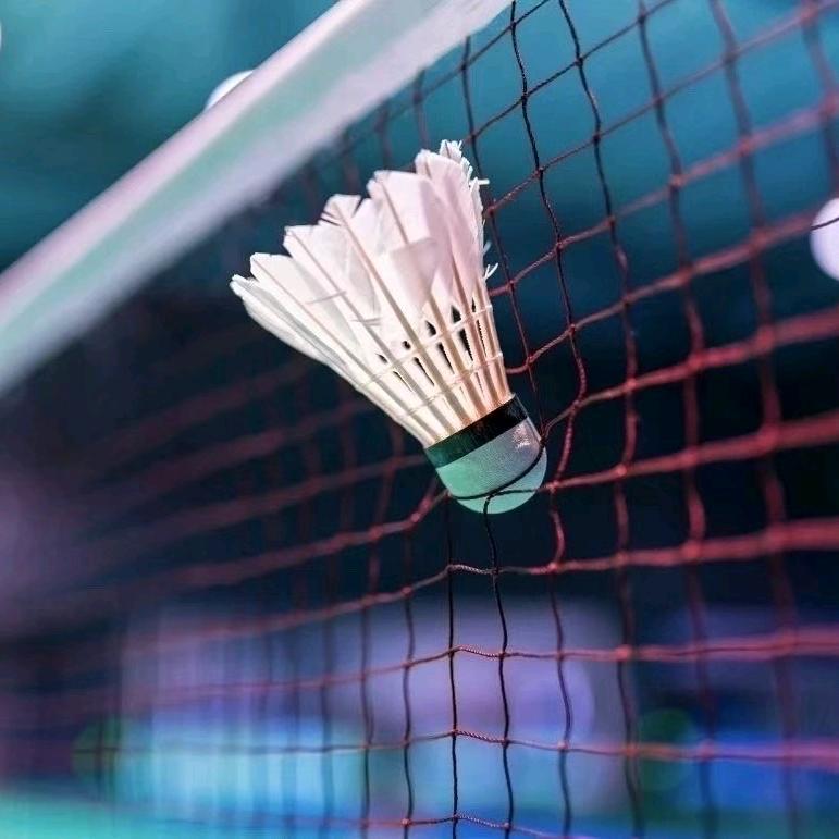 左撇子🏸红爷