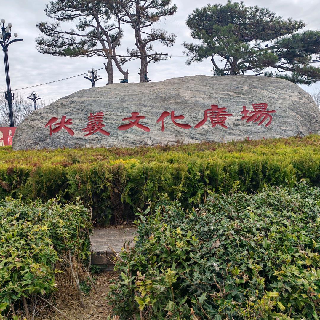 河南小哥