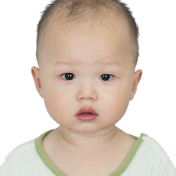 双宇