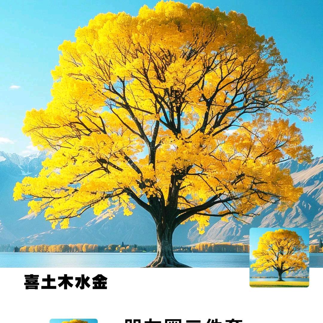 天赋吉运