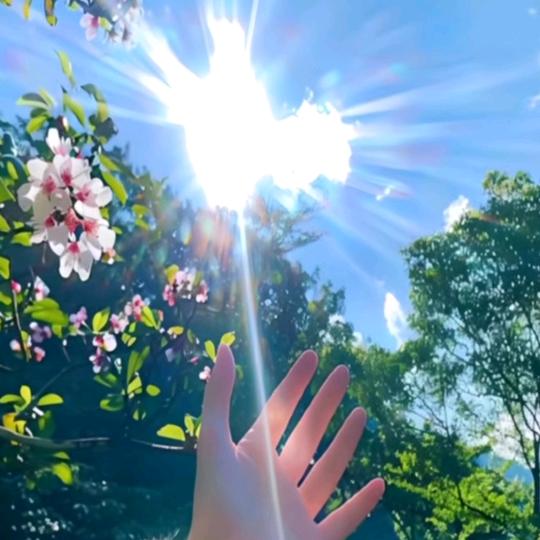 人之初✌✌性本善