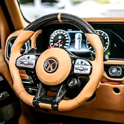 新盛军哥（🐜搬家）