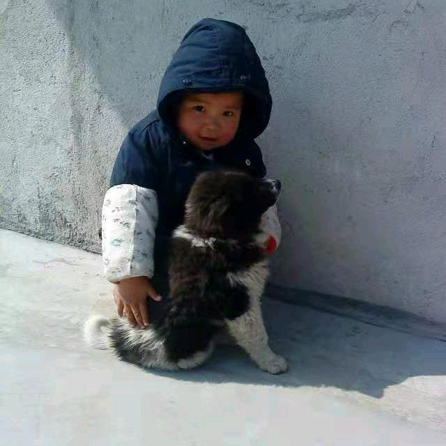 许姐姐