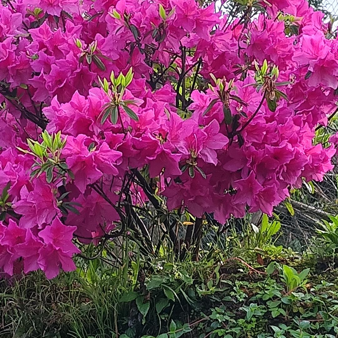 撸起衣袖加油干