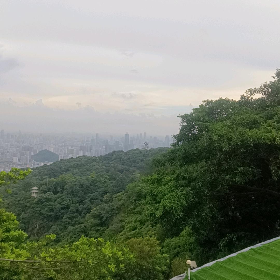 拿什么了却心愿