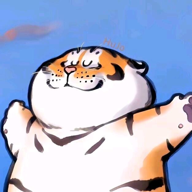 ZXi白