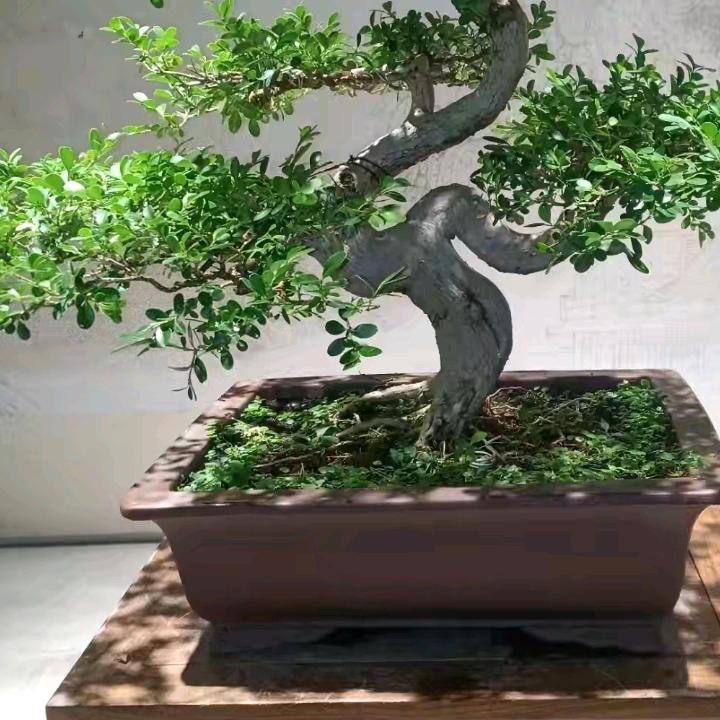事事非非