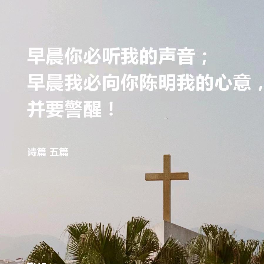 晓羊