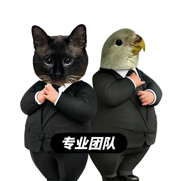 生巧抹茶