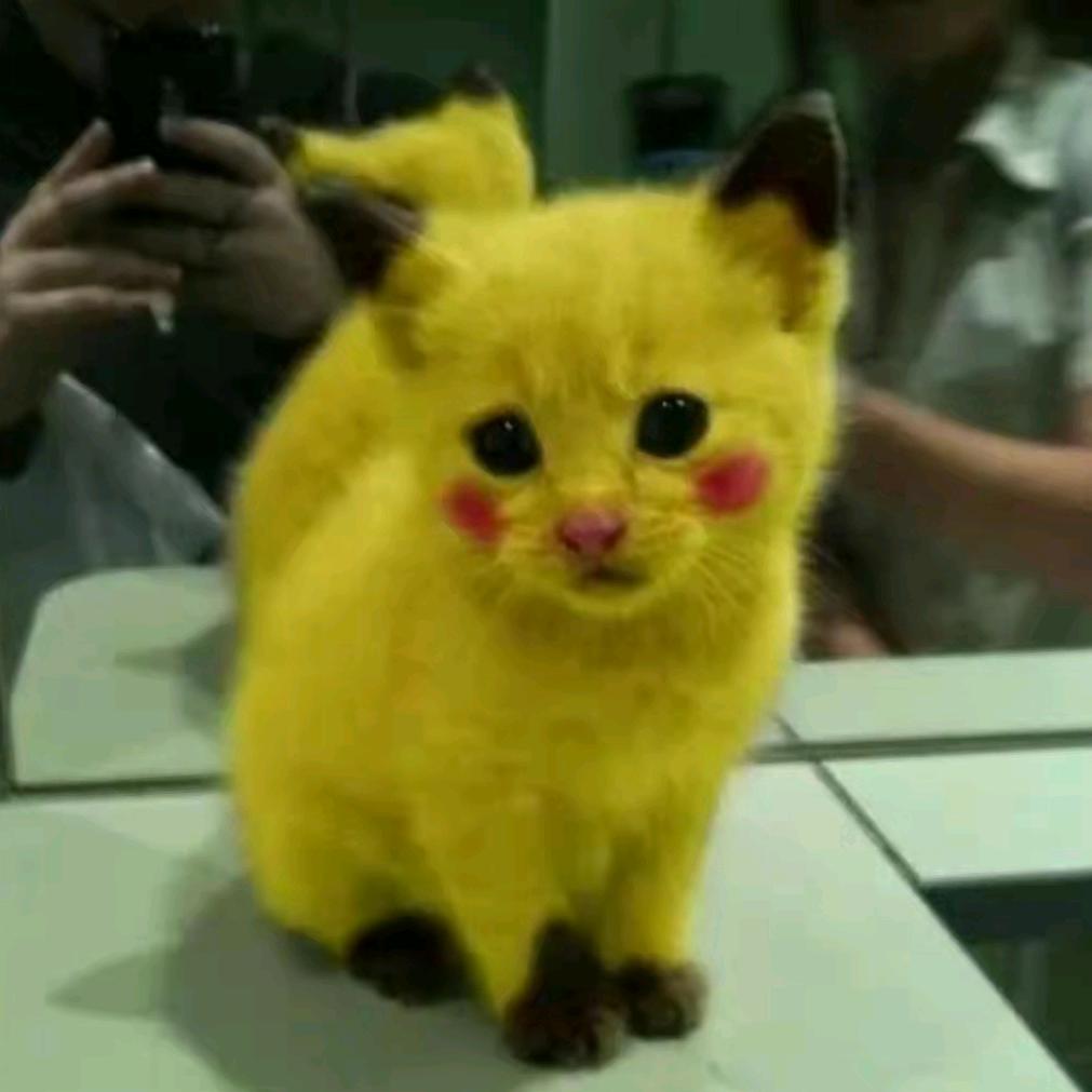 忧郁的卡丽丝/.